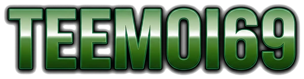 TEEMOI69 logo